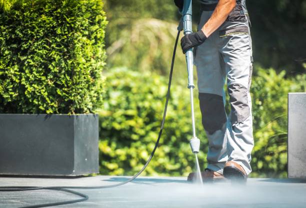 Best Driveway Pressure Washing  in Harb, OR